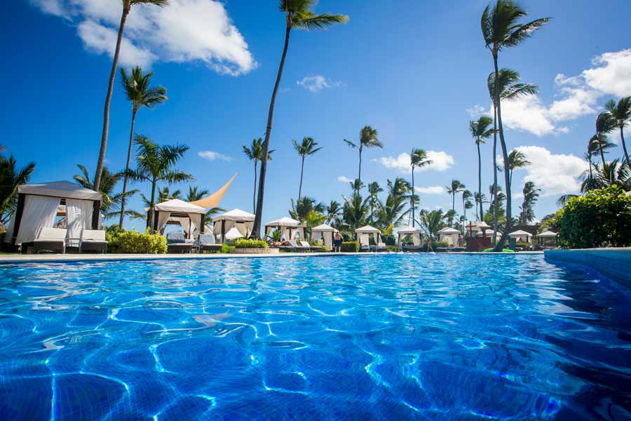 majestic elegance in pool