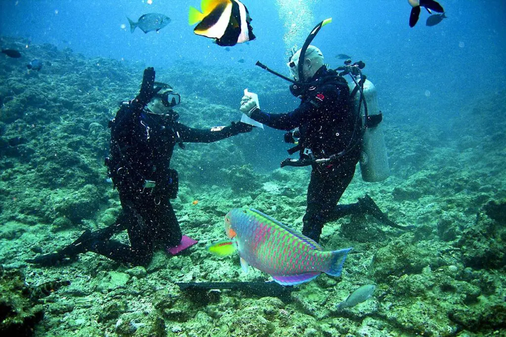 Be Live Experience Hamaca Garden Hotel , diving at Boca Chica