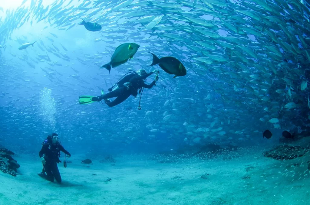 scuba diving in Los Cabos